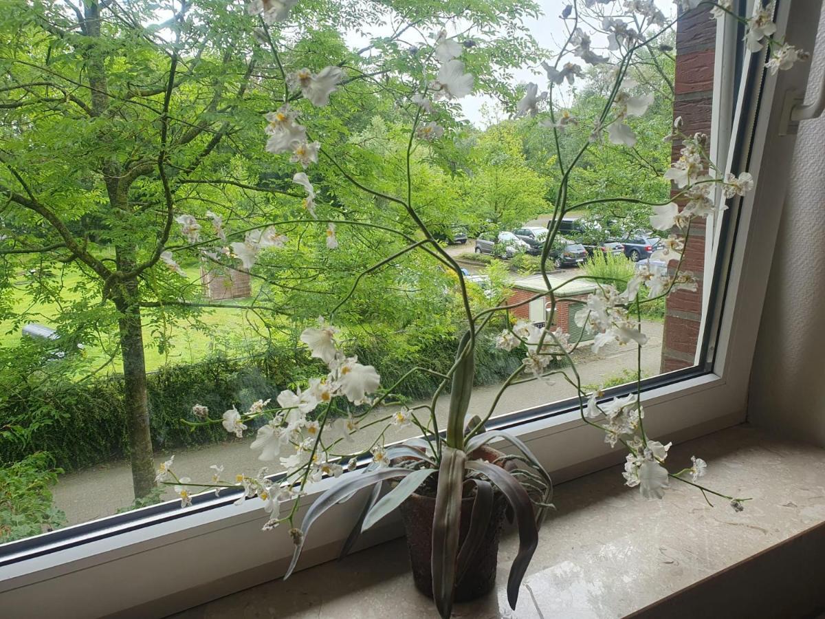 Moevenschiss Apartment เวรเมิน ภายนอก รูปภาพ